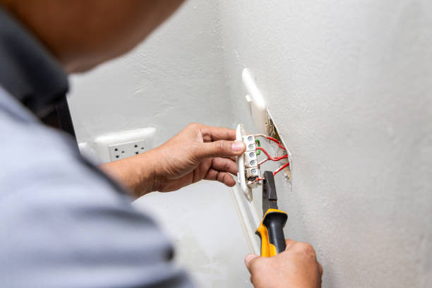 Best Electric Panel Repair  in Prceton, IN